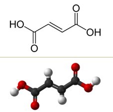 Fumaric Acid Molecular Structure