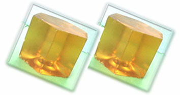 Chinese Gum Rosin, Gum Turpentine Oil, ¦Á-pinene and ¦Â-pinene